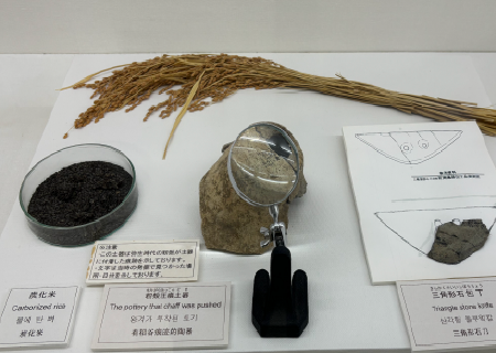 炭化