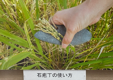石
